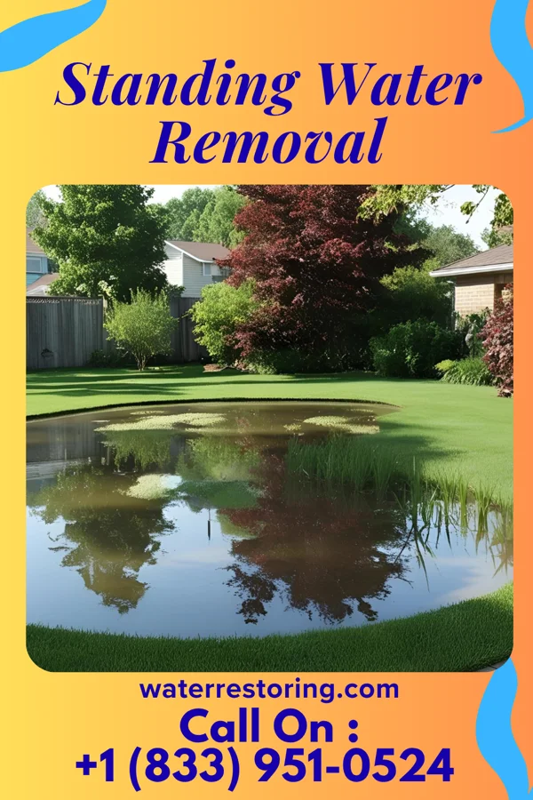 Standing Water Removal in Mount Calvary, WI